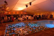 Event Hire