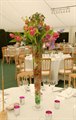 Wedding Hire